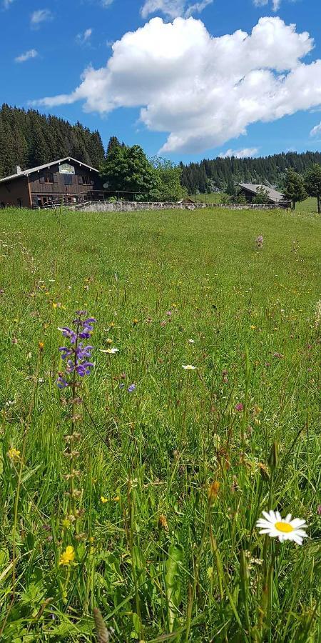 Gite Les Lanfiannes Thorens-Glières Eksteriør billede