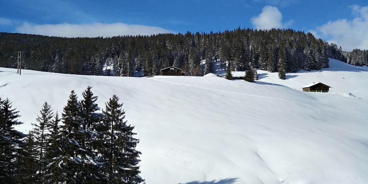 Gite Les Lanfiannes Thorens-Glières Eksteriør billede