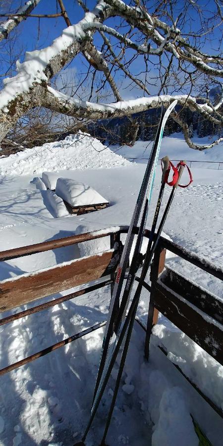 Gite Les Lanfiannes Thorens-Glières Eksteriør billede