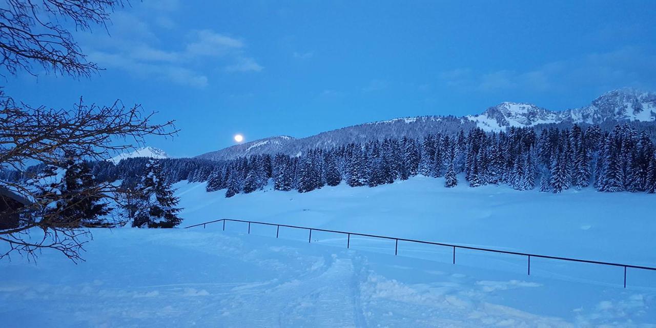 Gite Les Lanfiannes Thorens-Glières Eksteriør billede